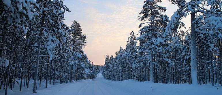 тур в финляндию на новогодние каникулы 2019